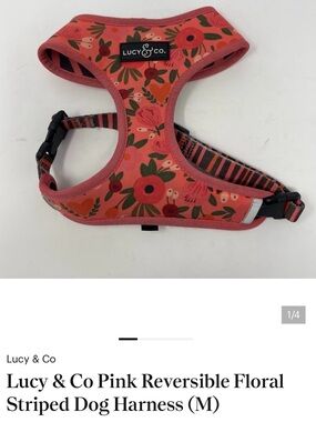Lucy & Co Pink Reversible Floral Striped Dog Harness (M)
My Boston Terrier 22lb
